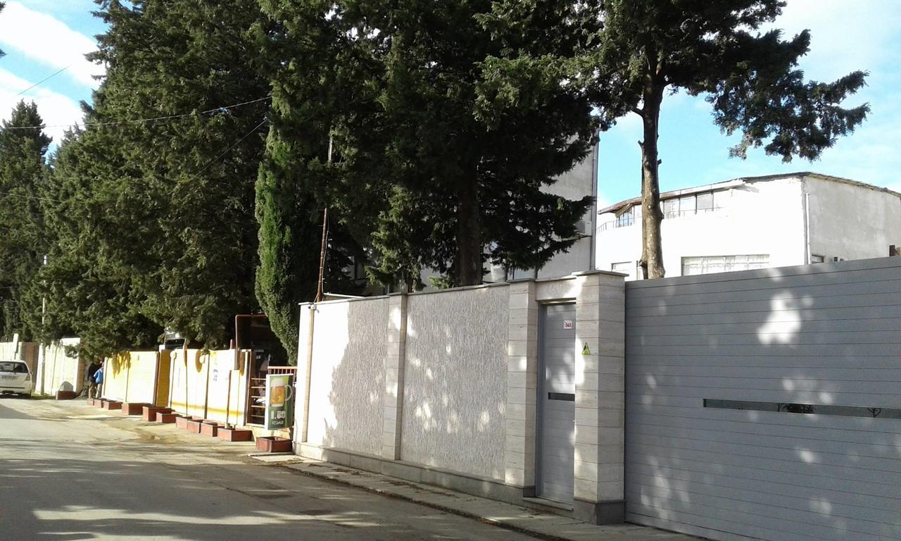 Guesthouse Star Georgia ティビリシ エクステリア 写真
