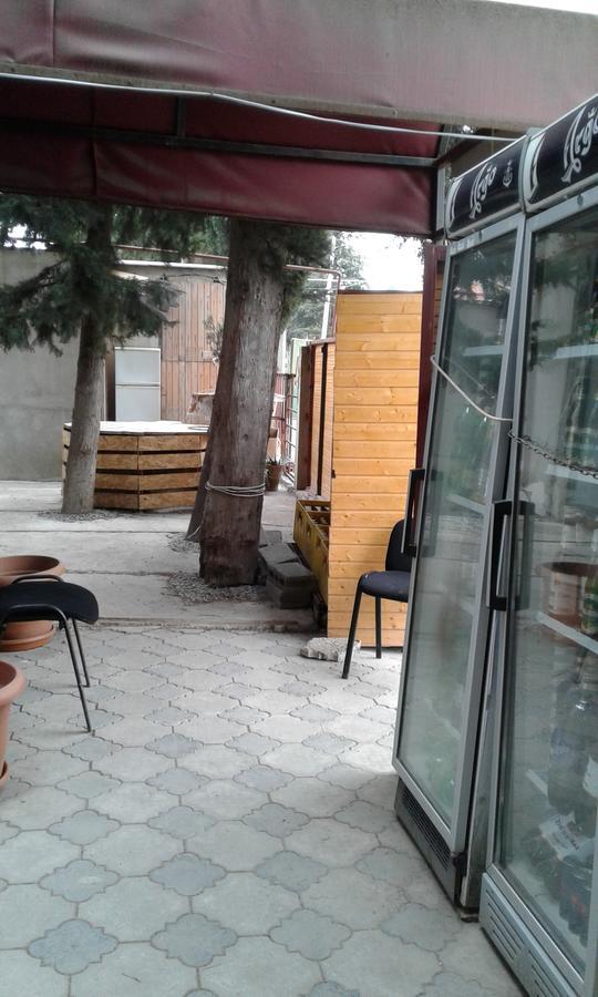 Guesthouse Star Georgia ティビリシ エクステリア 写真